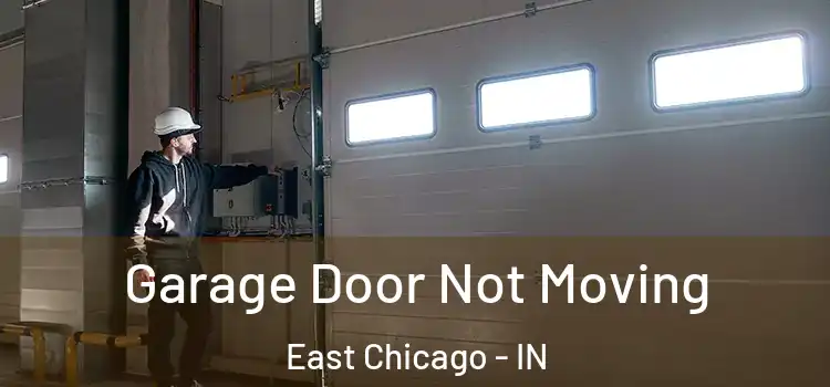  Garage Door Not Moving East Chicago - IN
