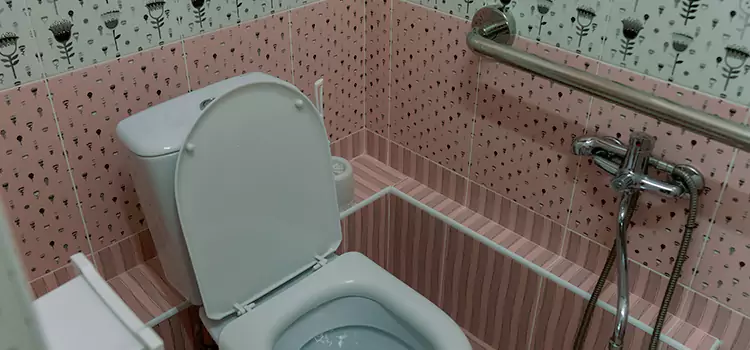 Meeting Diverse Needs With Accessible Restroom Solutions in East Chicago, IN