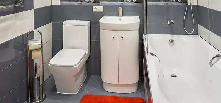 Hansgrohe Shaving Mirror East Chicago